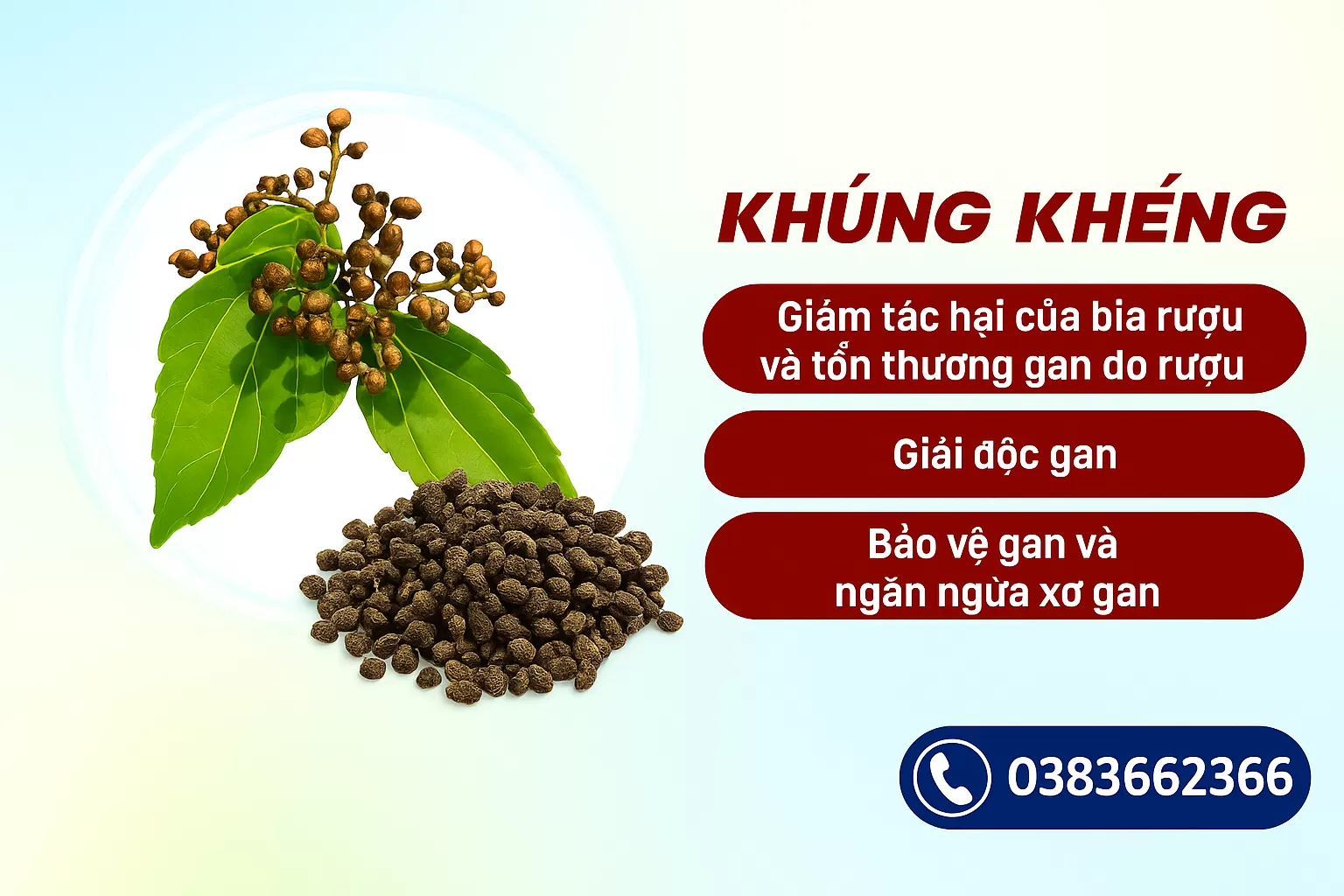 Khúng khéng – Hỗ trợ giải rượu và bảo vệ sức khỏe gan